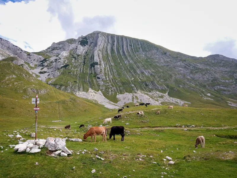 Prutaš - a quick ascent with outstanding views