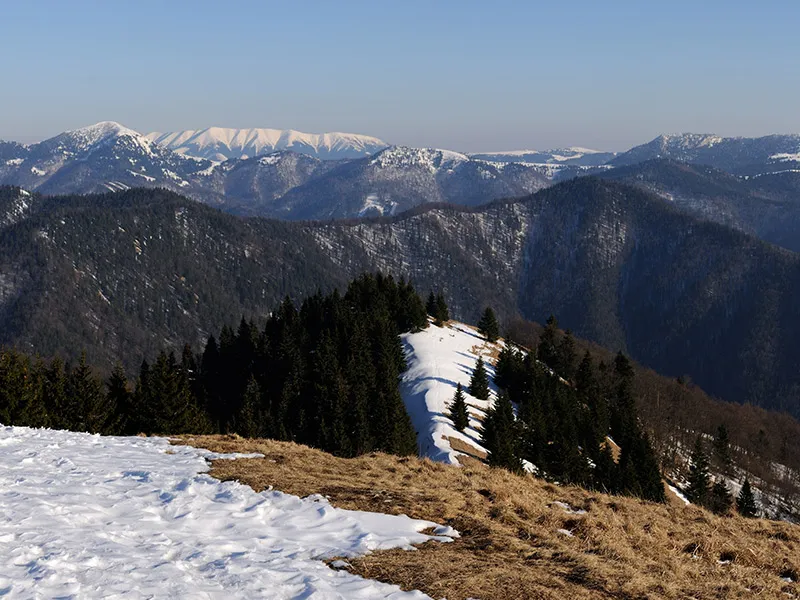 Opustenými pastvinami na Lysec